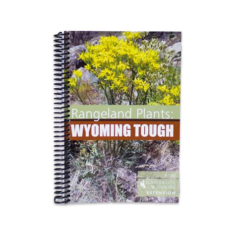 Home | University of Wyoming Store