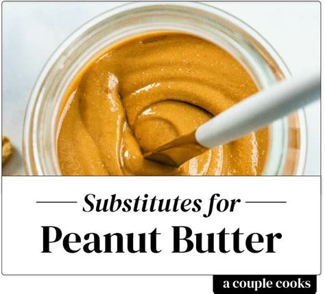 Best Peanut Butter Substitute – A Couple Cooks