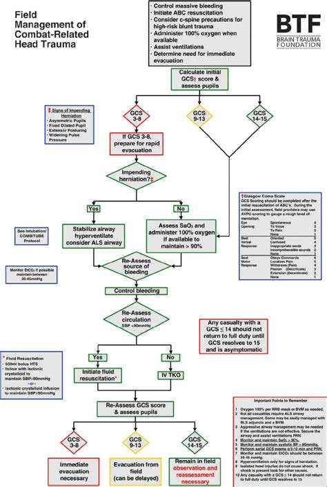 The algorithm for the rapid evaluation and triaging of urgency of ...