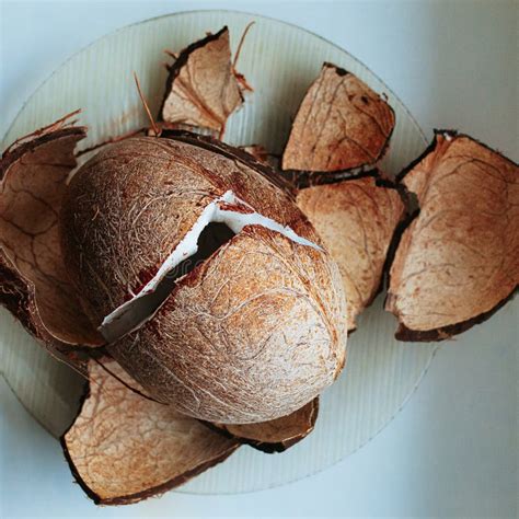 Fresh Cracked Coconut Top View Stock Photo - Image of gourmet, fibre: 153894904