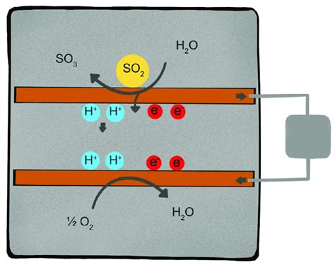 Working principle of a two-electrode electrochemical sensor for... | Download Scientific Diagram