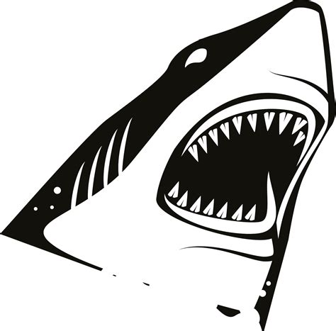 shark attacks - Clip Art Library