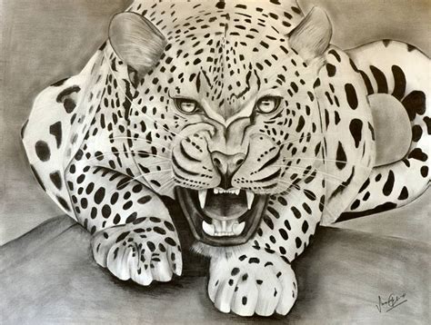 Leopard - Eyes gleaming with unbreakable pride! Drawing by Swaroop ...