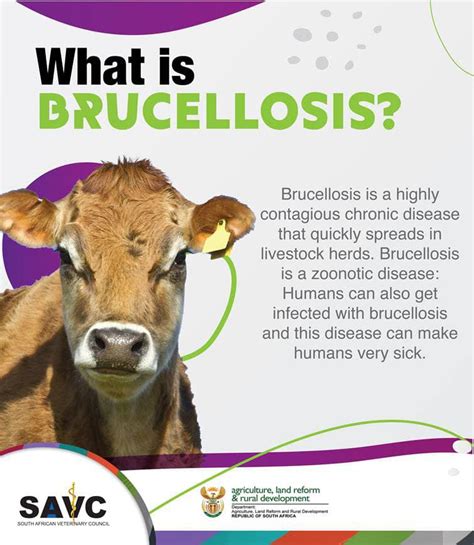 Brucellosis Awareness Months – Dairy Technology Society