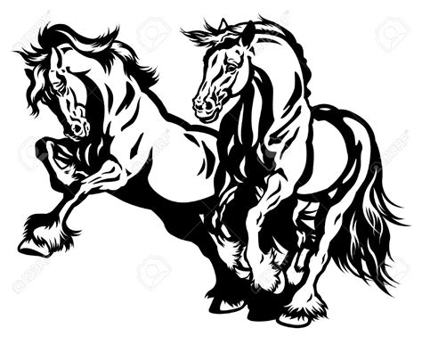 Draft Horse Drawing at GetDrawings | Free download