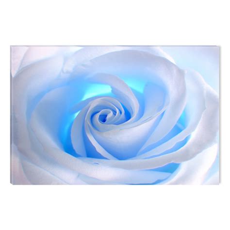 Startonight Canvas Wall Art White Rose Abstract Flower, Dual View Surprise Artwork Modern Framed ...