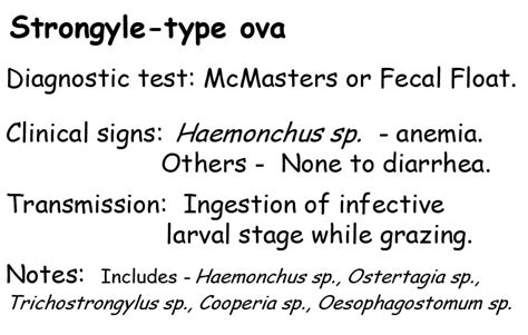 NCSU Veterinary Parasitology