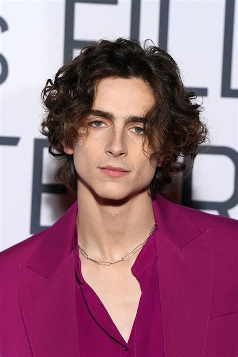 1290x2796px, 2K free download | Timothee chalamet, lil timmy tim, timothe chalamet, HD phone ...