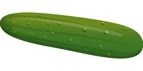 Cucumber Vegetable Green · Free vector graphic on Pixabay