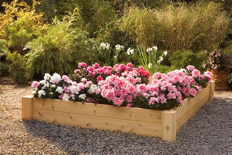 Professional Guide to Building Raised Garden Beds | ArticleCube