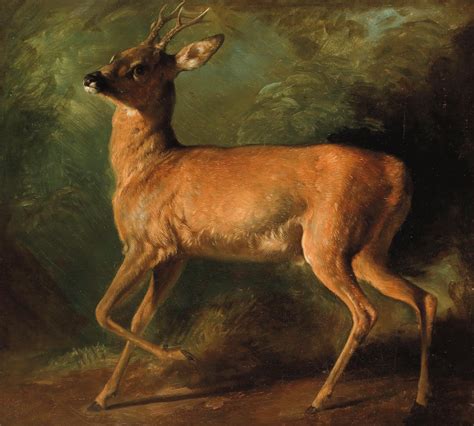 A Young Deer by Raden Saleh | Gazette Drouot