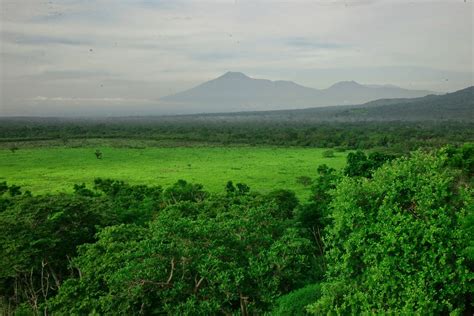 BALURAN NATIONAL PARK - AMAZING ASIA HOLIDAY