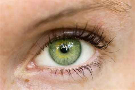 How Eye Color Is Potentially Linked To Personality Traits - Go-Viral.com