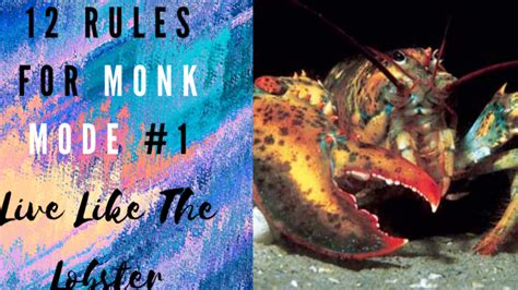 12 Rules of Monk Mode #1: Live Like The Lobster