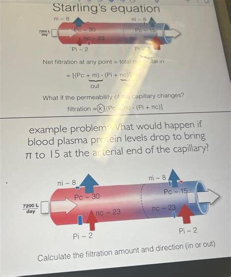 Solved Starling's equation Net filtration at any point = | Chegg.com