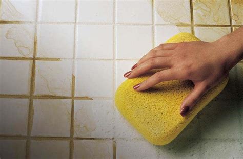 How To Clean An All Tile Shower at Suzanne Torres blog