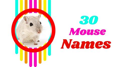 50 best ideas for coloring | Cute Mice Names