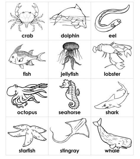 Pin by Lorrie Blackard Friet on Printable Worksheets | Animal ...