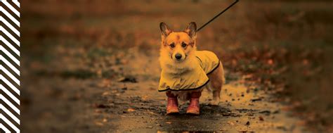 Tips For Staying Safe In A Thunderstorm