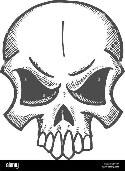 Angry skull with sharp teeth isolated dead person head sketch. Vector monochrome skeleton face ...