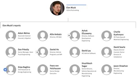 Tesla Org Chart & Company Structure Hierarchy — The Information