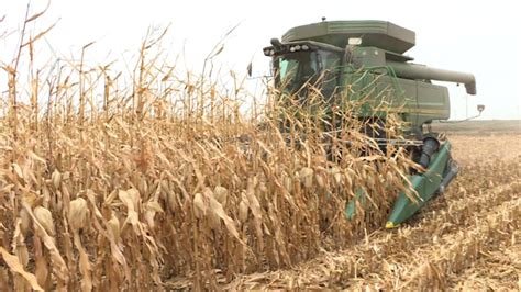 ND farmers see record-setting corn harvest