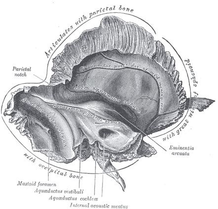 Bone Fissure