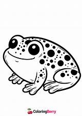 Tadpole Toad Coloring Page Free PDF Printable sketch template