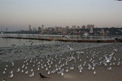 Beaches of Mumbai - Mumbai beaches are better than GOA