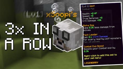 13+ Best Pets On Hypixel Skyblock - nylearnerspermitpracticetest