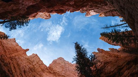 Looking up from the Canyon Sky at Bryce Canyon National Park, Utah image - Free stock photo ...