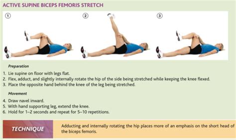 NASM CPT (Ver 4) Flexibility Training Pictures flashcards | Flexibility ...