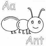 Ant Coloring Pictures Pages sketch template