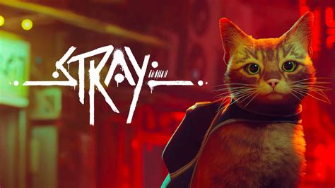 Stray | PC Steam Game | Fanatical