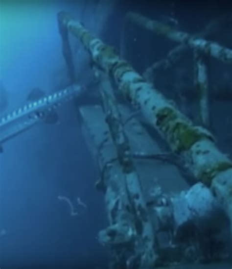 10 Years Later After Sinking, the Aircraft Carrier 'USS Oriskany' Is a Healthy Reef