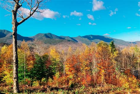 Kancamagus Highway Fall Foliage - Thirsty