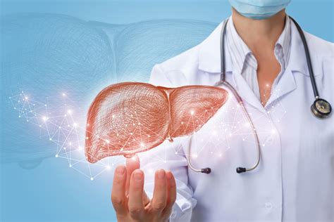 Fascinating Facts About Our Liver - Health Beat