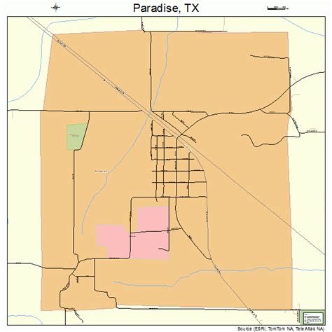 Paradise Texas Street Map 4855056