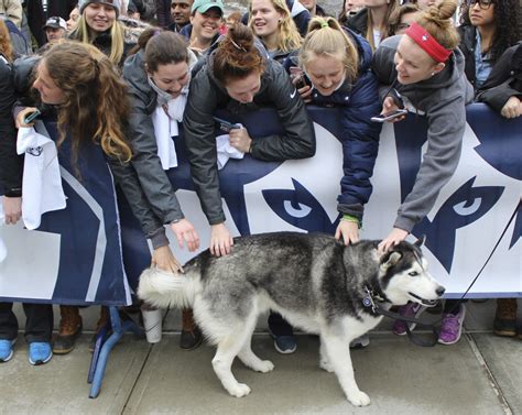 Fans rally to send UConn off to 10th straight Final Four - Sports ...