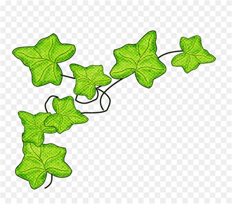 Clip Art - Ivy Clipart - FlyClipart