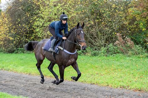 Six tips to stay safe and have fun when riding on the gallops this ...