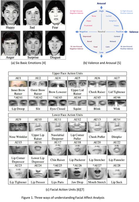 Paul ekman facial action coding system angry - jawertokyo