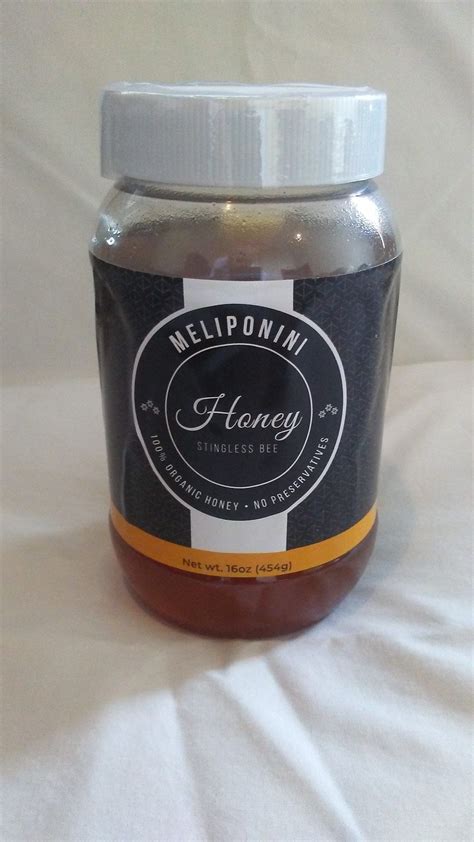 Melipona stingless bee honey | Stingless bees, Bee, Pure products