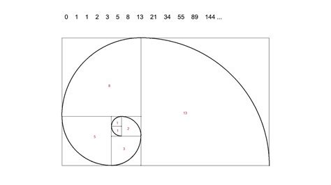 Fibonacci Spiral