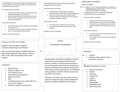 Concept Map on Encephalopathy for Clinicals - Nursing Diagnosis #2 ...