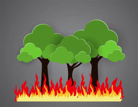 Forest Fire Prevention Illustrations, Royalty-Free Vector Graphics ...