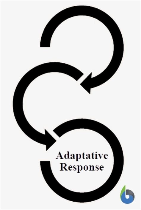 Physiological adaptation - Definition and Examples - Biology Online Dictionary