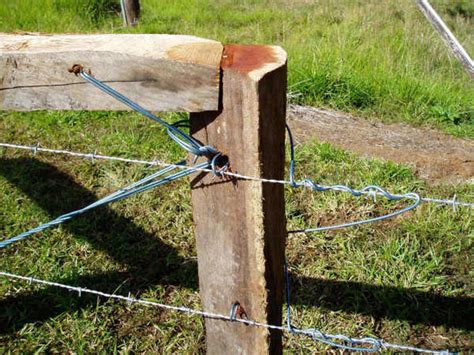 Wood Posts and Barbed wire-Another way to do it - CattleToday.com