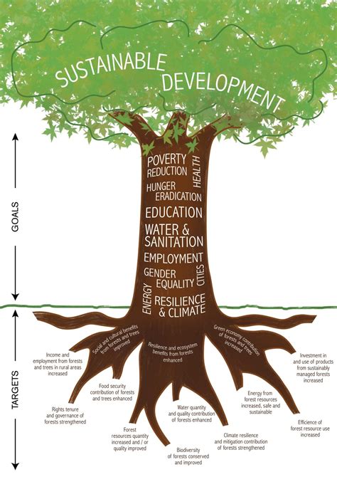 ICTSD • Forests in the sustainable development goals | Sustainable ...