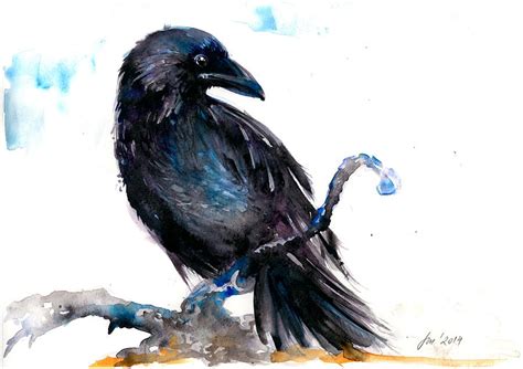 Crow Resting - Bird Art Watercolor Painting by Tiberiu Soos